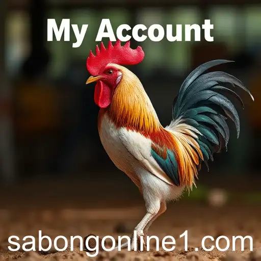 Exploring 'My Account' in the Exciting World of Sabong Online