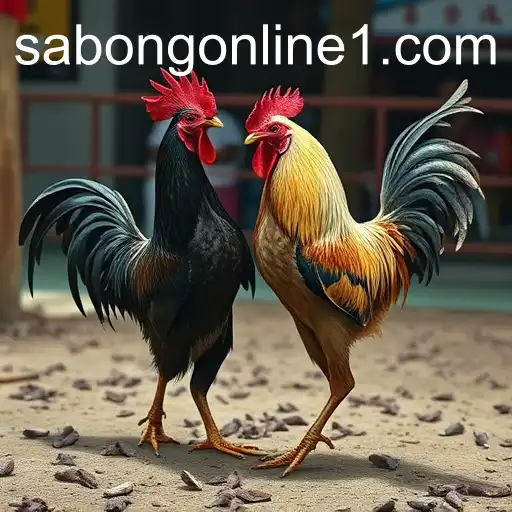 The Rise of Sabong Online: A Cultural Phenomenon